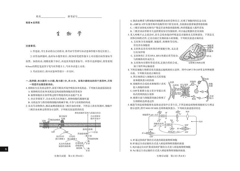 2024-2025学年高三备考核心模拟中期考试试题 生物学第1页