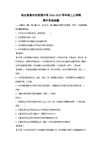 2024-2025學年河北省衡水市武強中學高二(上)期中生物試卷(解析版)