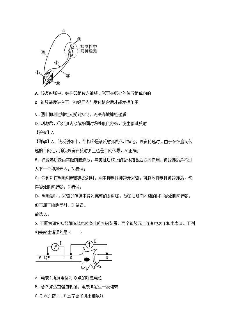 2024-2025学年江苏省南京市六校联合体高二(上)10月月考生物试卷(解析版)第3页