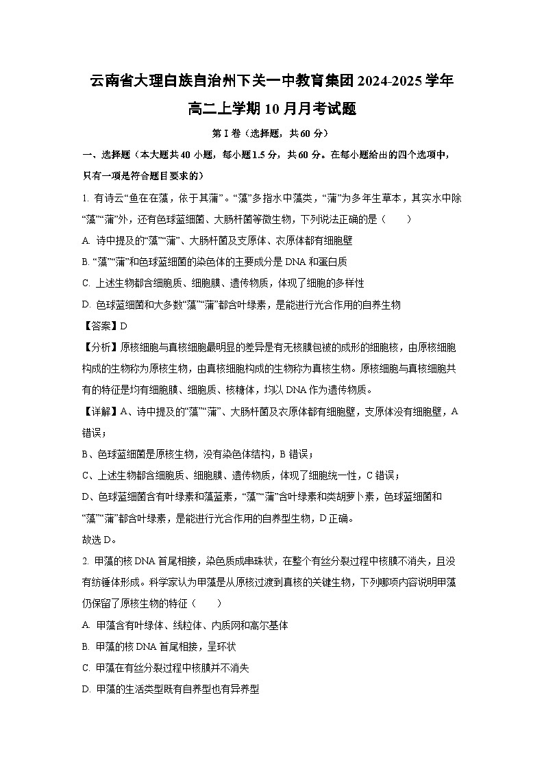 2024-2025学年云南省大理白族自治州下关一中教育集团高二(上)10月月考生物试卷(解析版)01