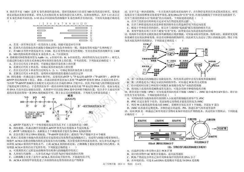 2025成都树德中学高三上学期期中考试生物试题扫描版含答案第2页