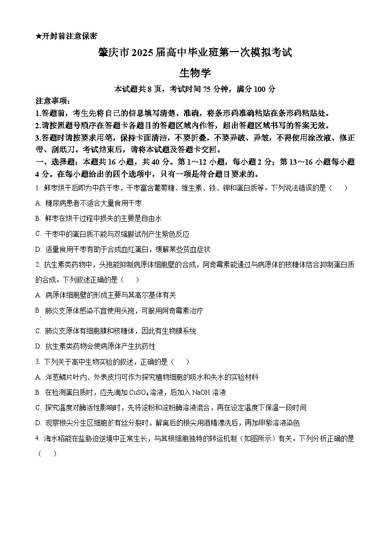 2025届广东省肇庆市高三一模生物试题无答案第1页