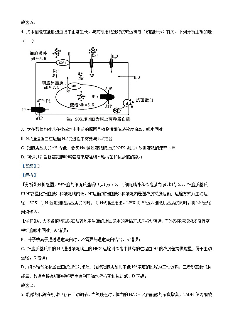 2025届广东省肇庆市高三一模生物试题含解析第3页