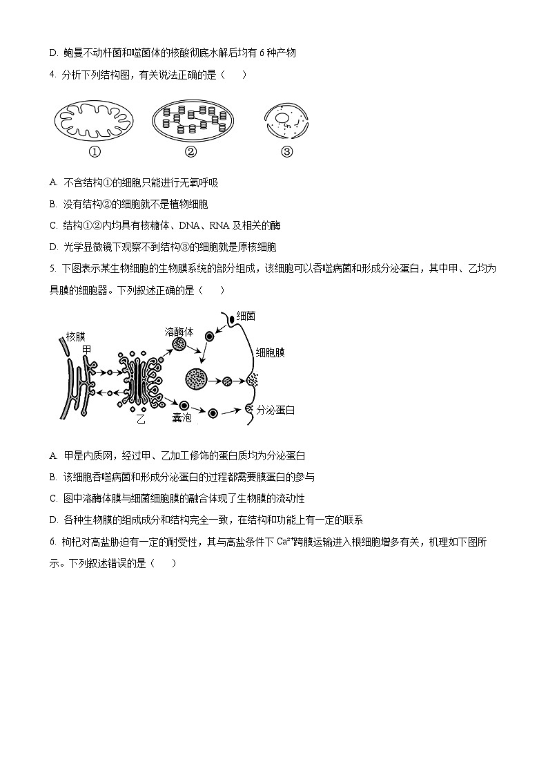 2025吕梁高三上学期11月期中考试生物含解析02