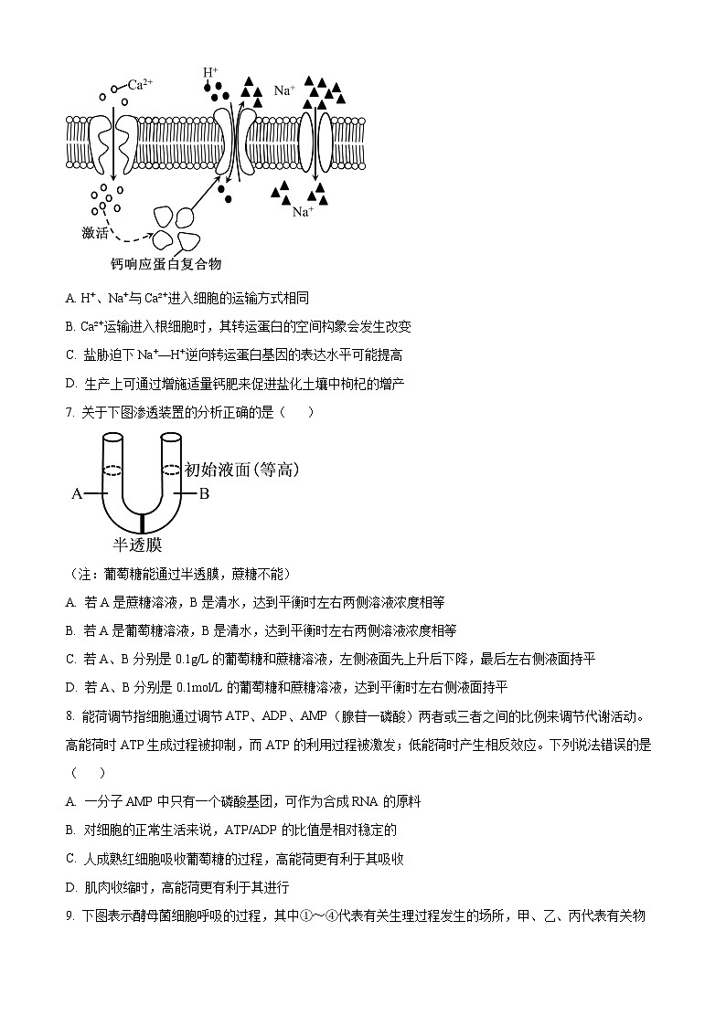 2025吕梁高三上学期11月期中考试生物含解析03