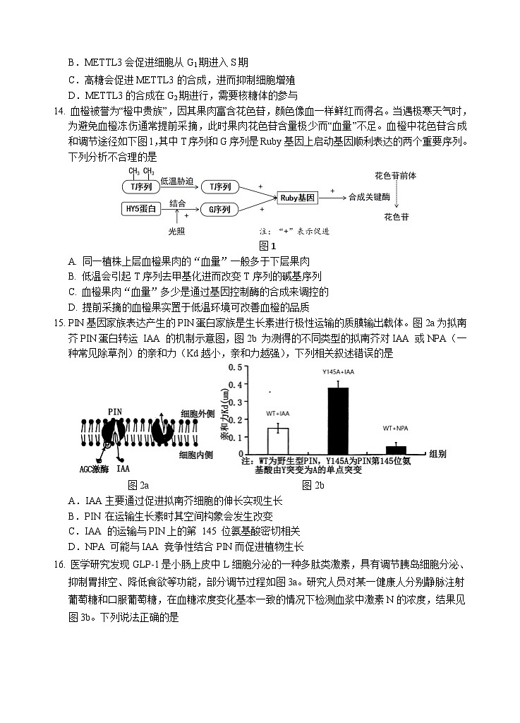 2022级高三试题(提交版2)第3页