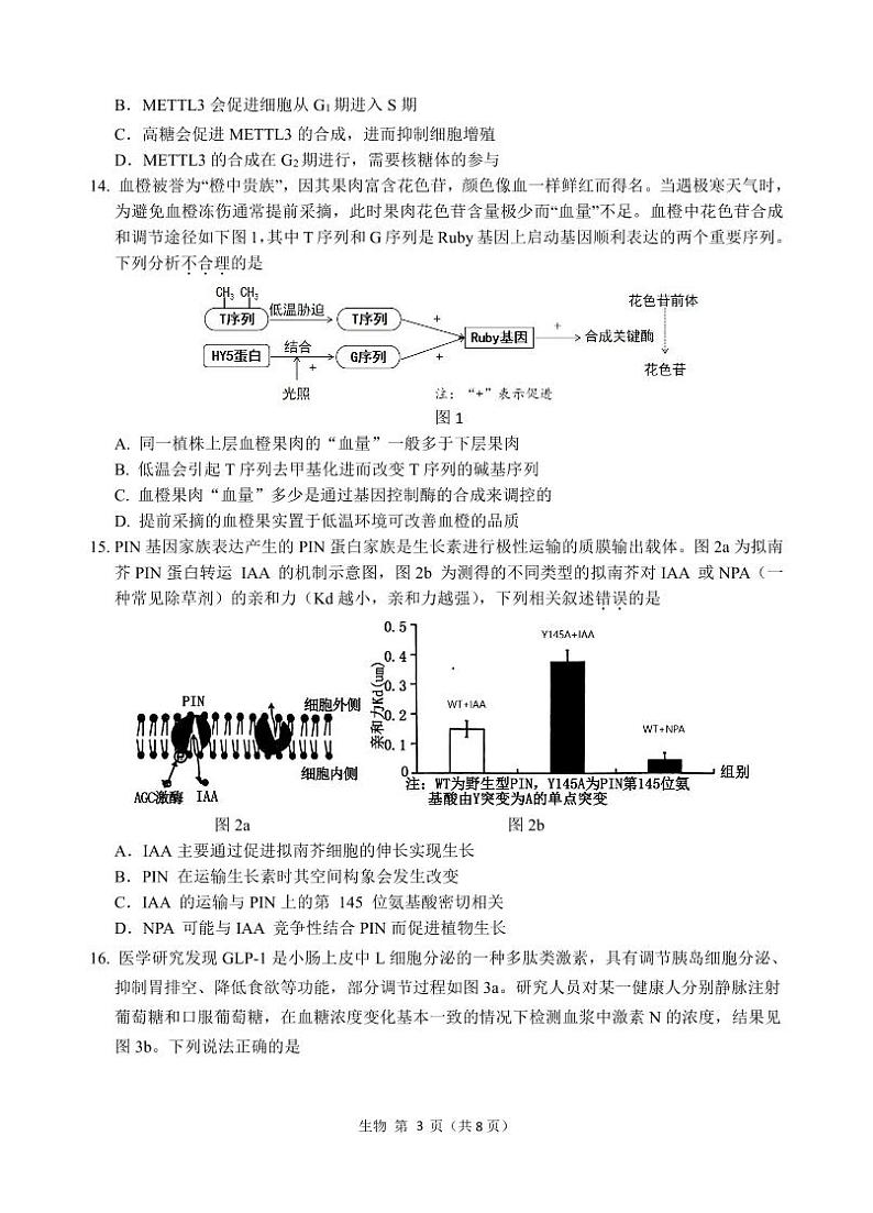 2025汕头金山中学高三上学期期中考试生物试题PDF版含答案03