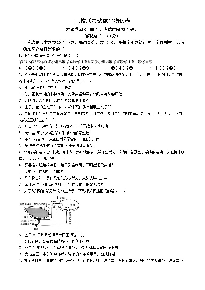 山西省阳泉市三校2024-2025学年高二上学期11月期中联考生物试题第1页