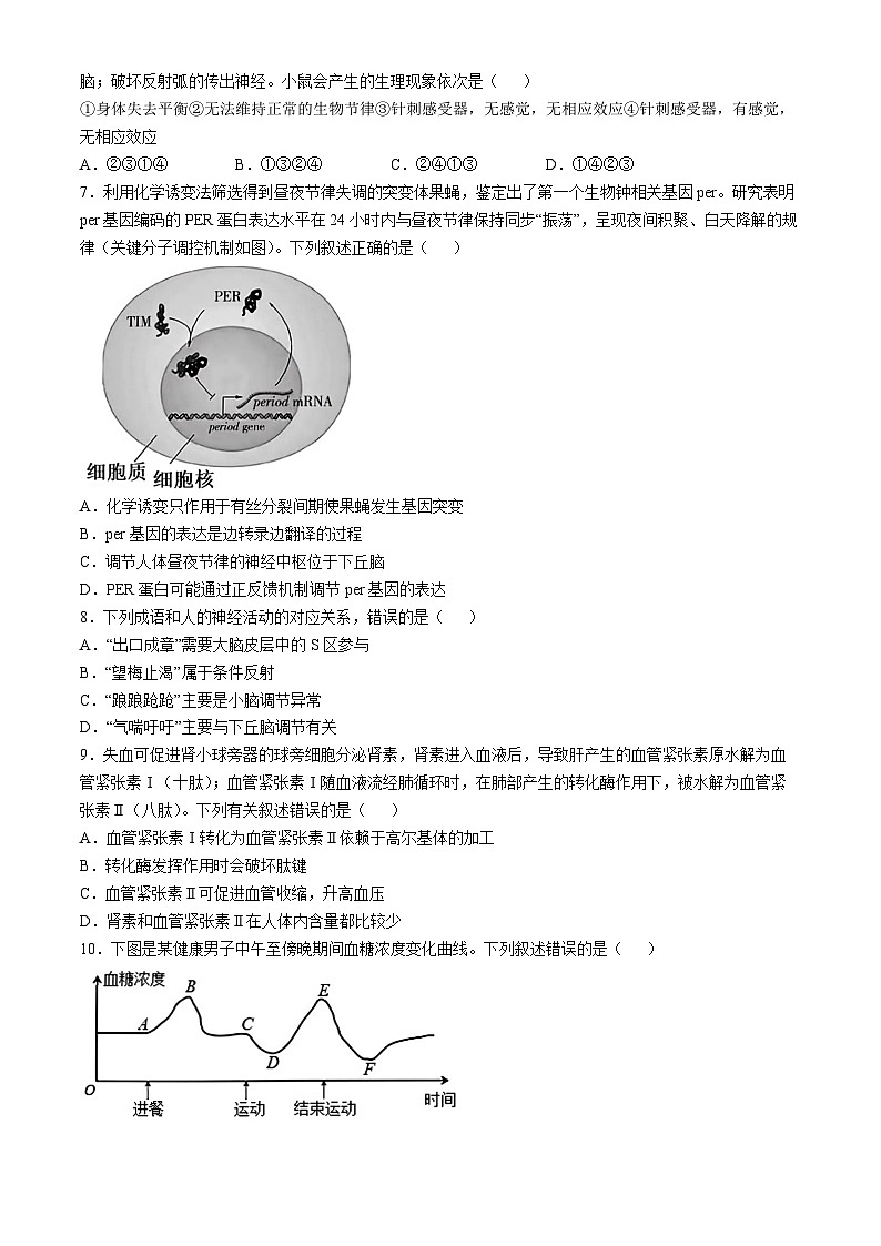 山西省阳泉市三校2024-2025学年高二上学期11月期中联考生物试题第2页