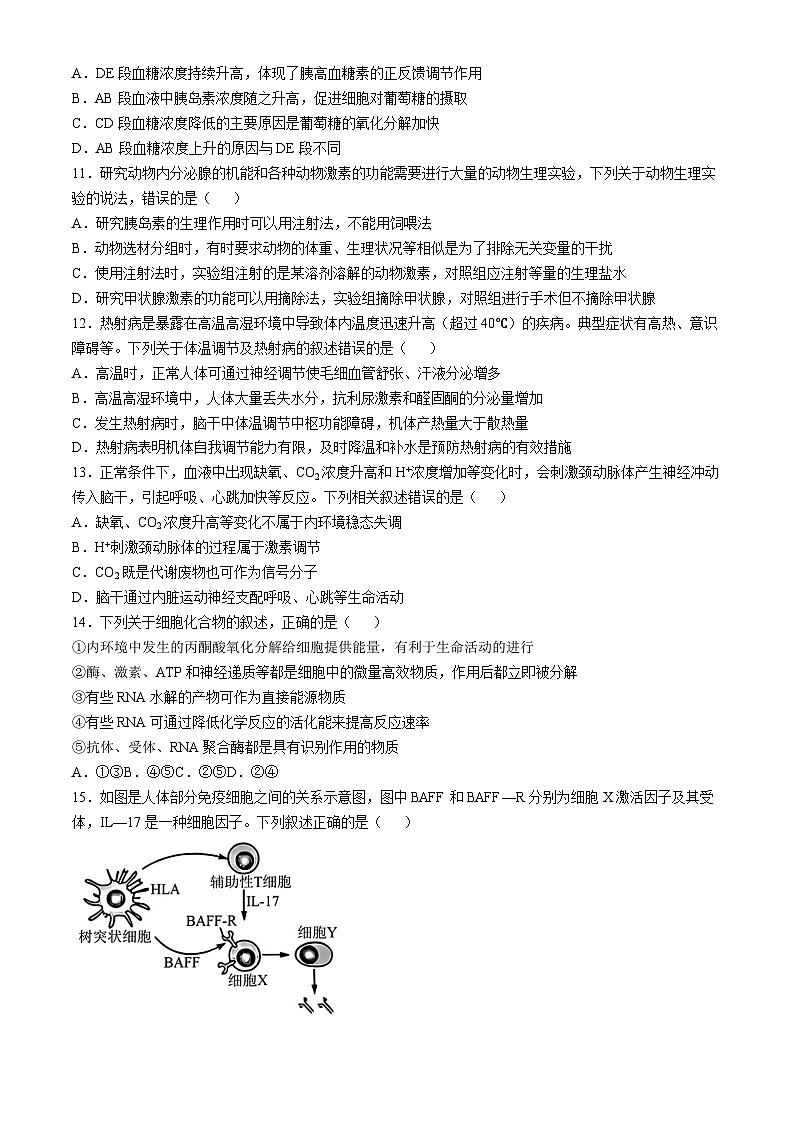山西省阳泉市三校2024-2025学年高二上学期11月期中联考生物试题第3页