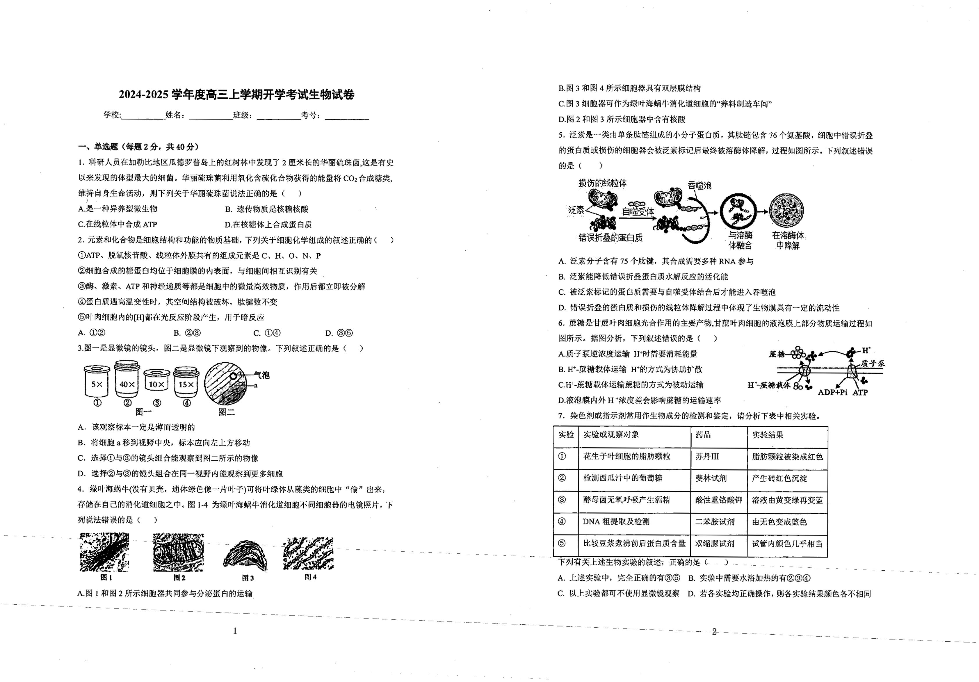 四川省自贡市第一中学校2024-2025学年高三上学期开学考试生物试题