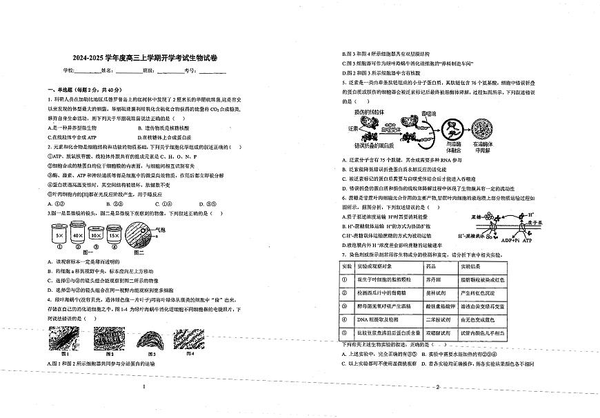 四川省自貢市第一中學校2024-2025學年高三上學期開學考試生物試題第1頁
