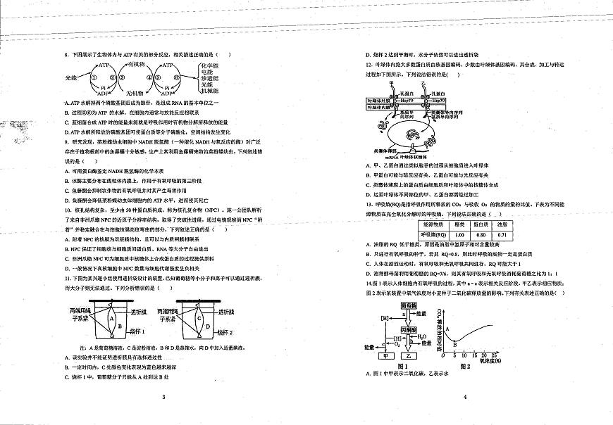 四川省自貢市第一中學校2024-2025學年高三上學期開學考試生物試題第2頁
