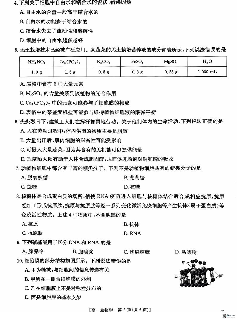 河北省沧衡名校联盟2024-2025学年高一上学期11月期中考试生物试题第2页