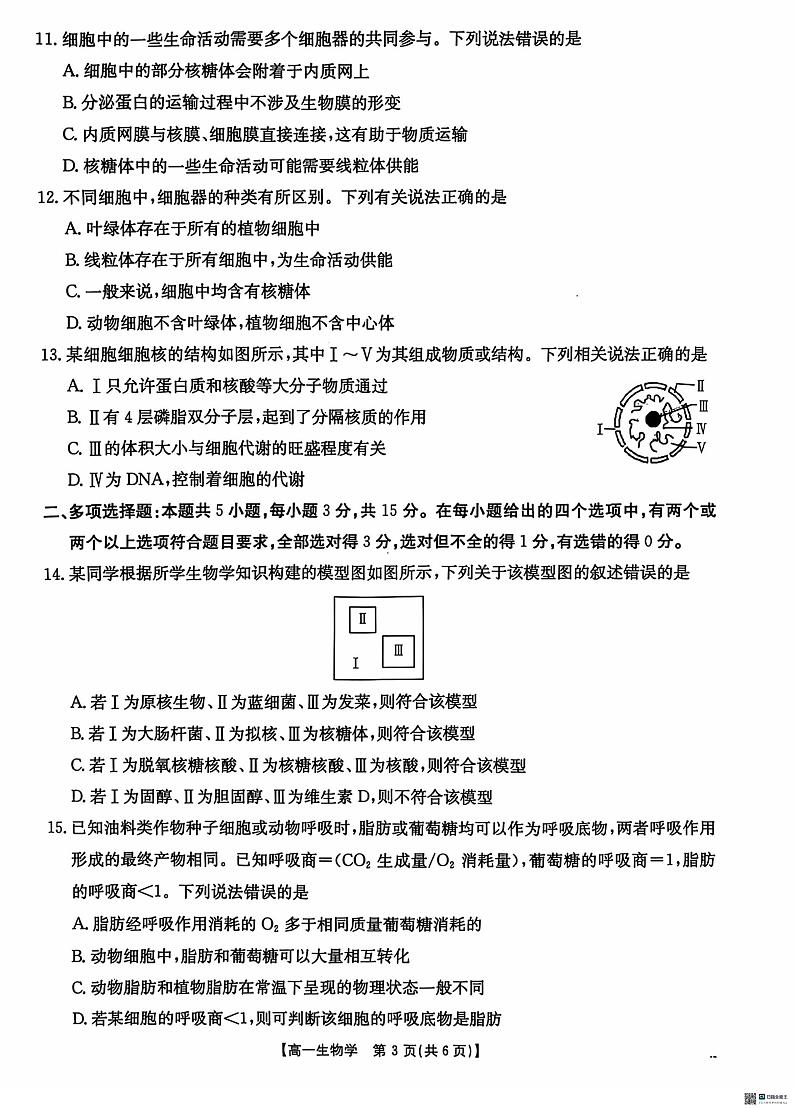 河北省沧衡名校联盟2024-2025学年高一上学期11月期中考试生物试题第3页