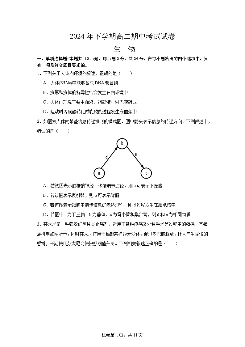 湖南省益阳市安化县安化县第二中学2024-2025学年高二上学期11月期中生物试题第1页