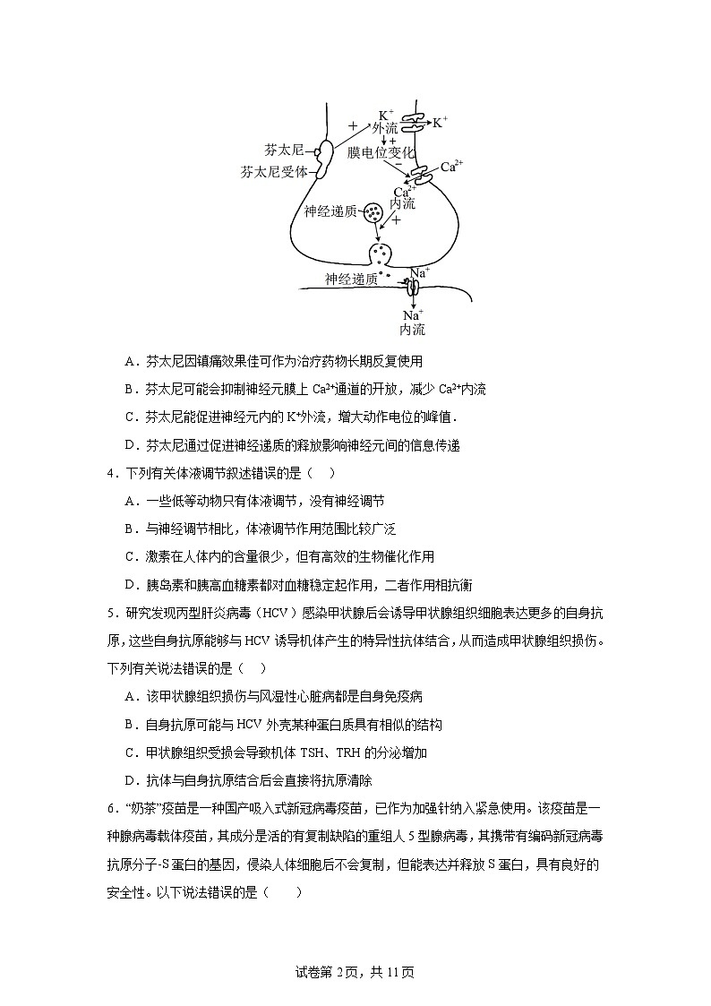 湖南省益阳市安化县安化县第二中学2024-2025学年高二上学期11月期中生物试题第2页
