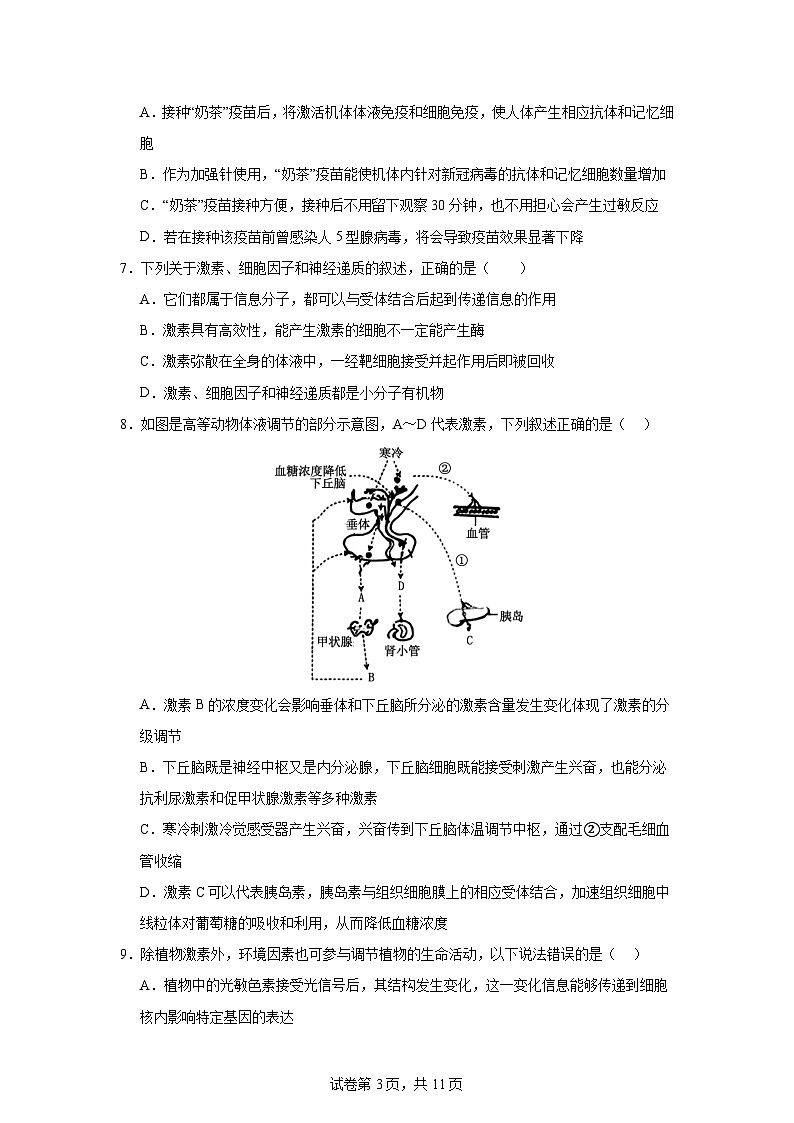 湖南省益阳市安化县安化县第二中学2024-2025学年高二上学期11月期中生物试题第3页