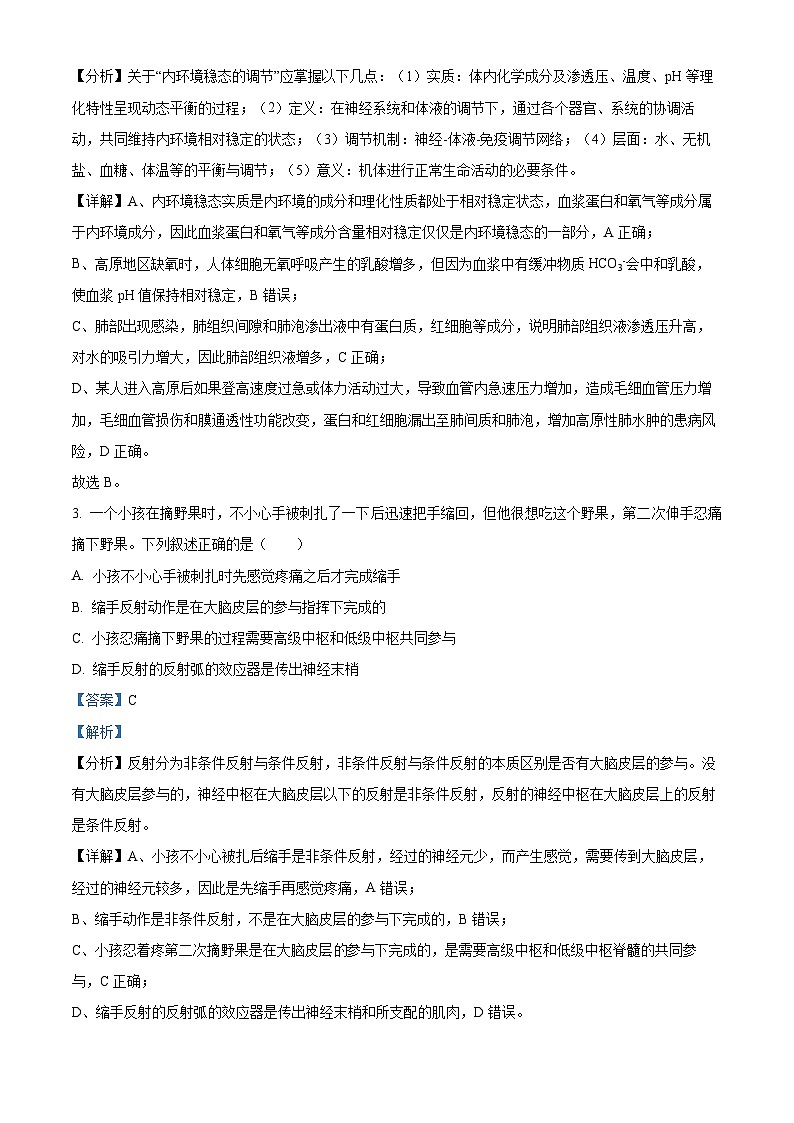 精品解析:河南省郑州市中牟县2024-2025学年高二上学期11月期中生物试题(解析版)第2页