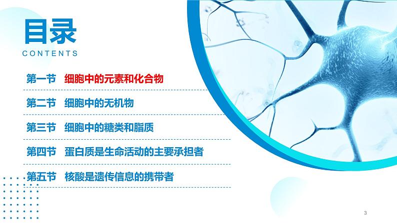 2024-2025人教版(2019)生物必修1《分子与细胞》课件PPT2组成细胞的分子-2.1细胞中的元素和化合物第3页
