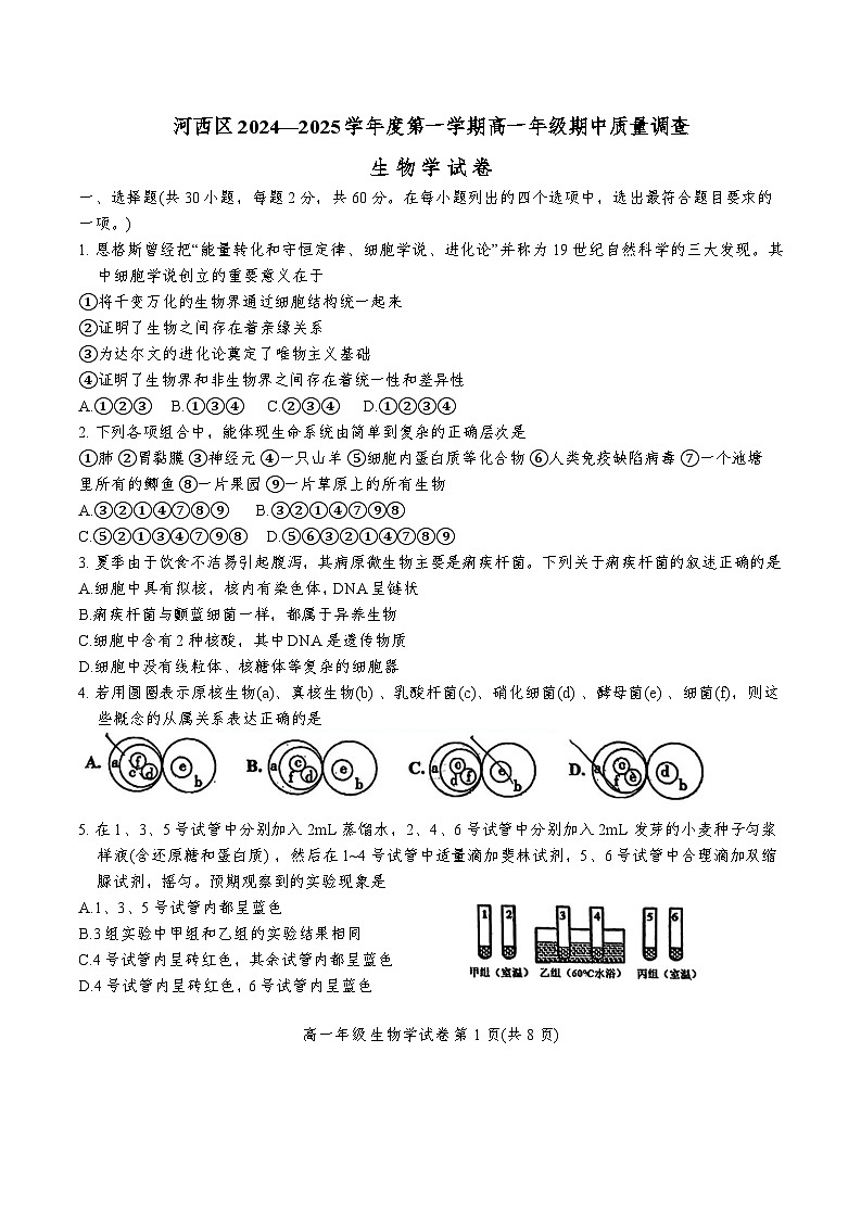 天津市河西区2024-2025学年高一上学期11月期中考试生物试题(Word版附答案)01