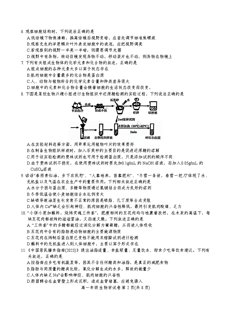 天津市河西区2024-2025学年高一上学期11月期中考试生物试题(Word版附答案)02