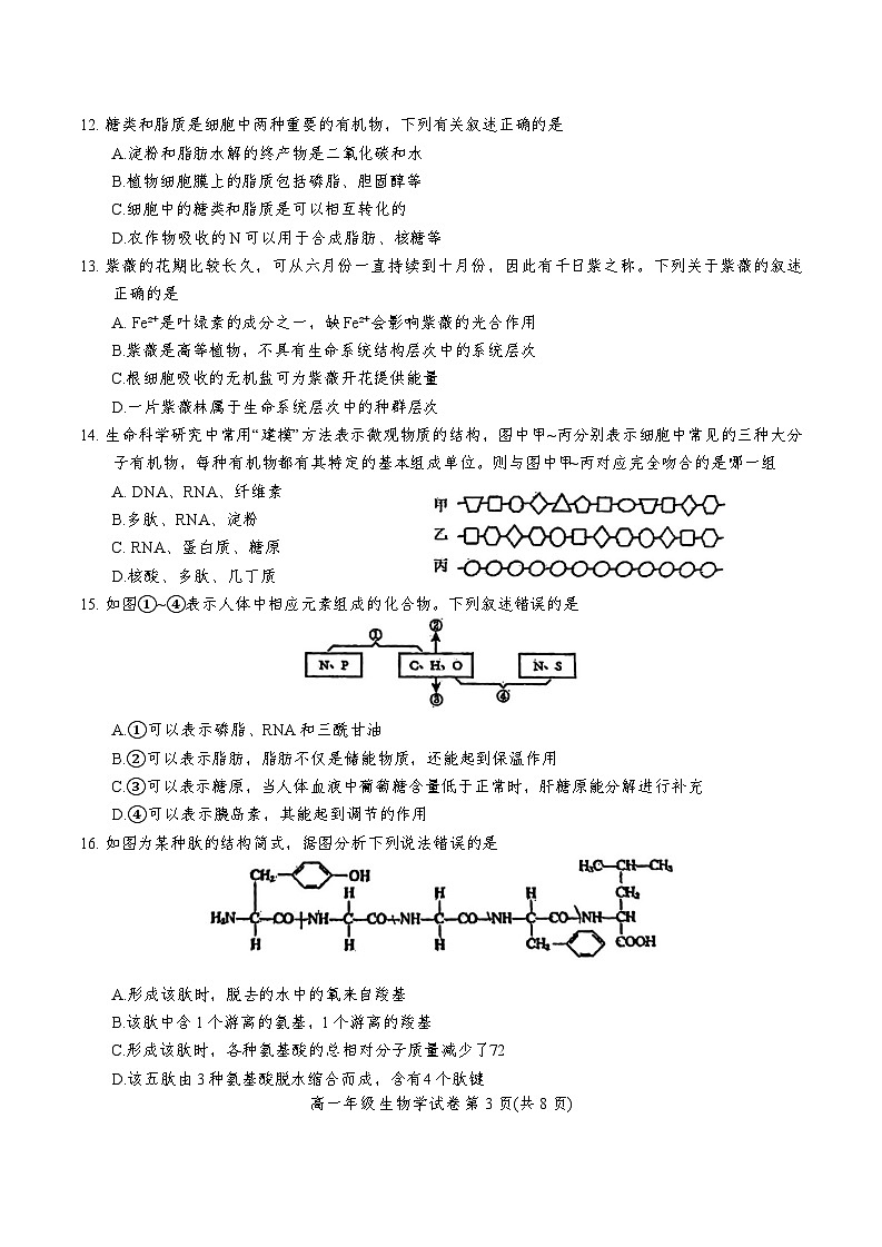 天津市河西区2024-2025学年高一上学期11月期中考试生物试题(Word版附答案)03