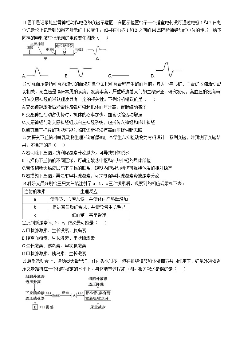 湖北省部分省级示范高中2024-2025学年高二上学期11月期中测试生物试题(Word版附答案)第3页