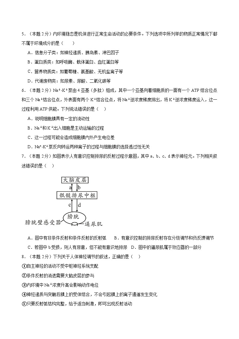 四川省泸州市龙马潭区2024-2025学年高二上学期11月期中生物试题第2页