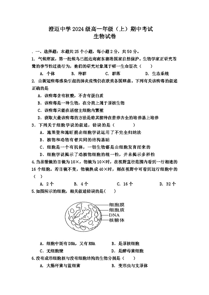 海南省澄迈中学2024-2025学年高一上学期期中考试生物试题第1页