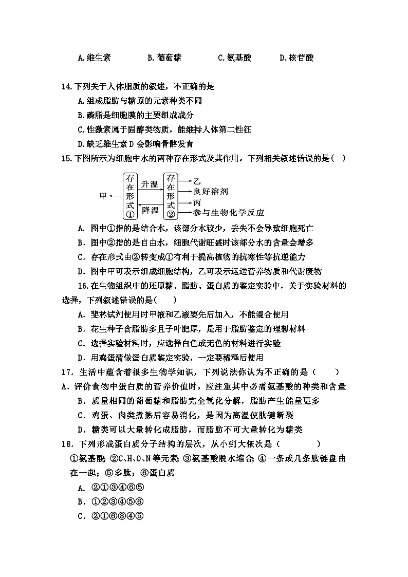 海南省澄迈中学2024-2025学年高一上学期期中考试生物试题第3页