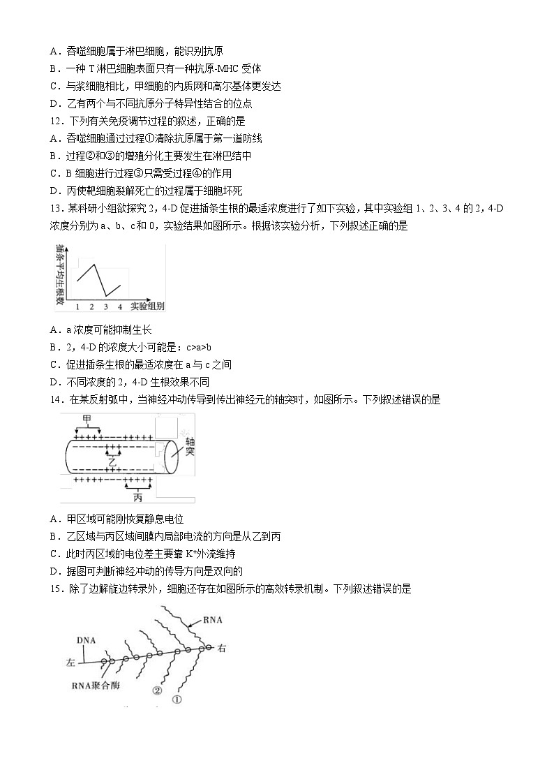 浙江省91高中联盟2024-2025学年高二上学期11月期中考试生物试题(Word版附答案)第3页