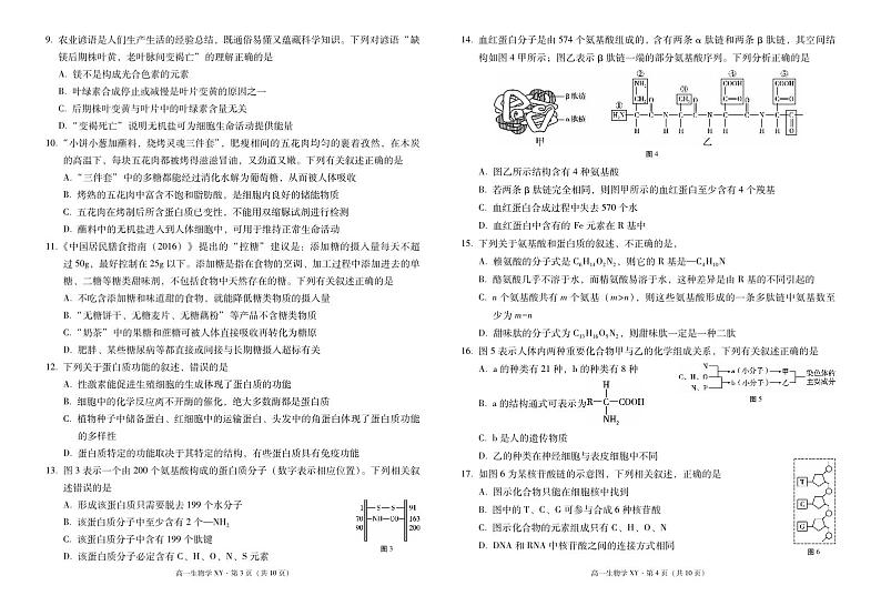 高一年级上学期10月月考生物 -试卷第2页