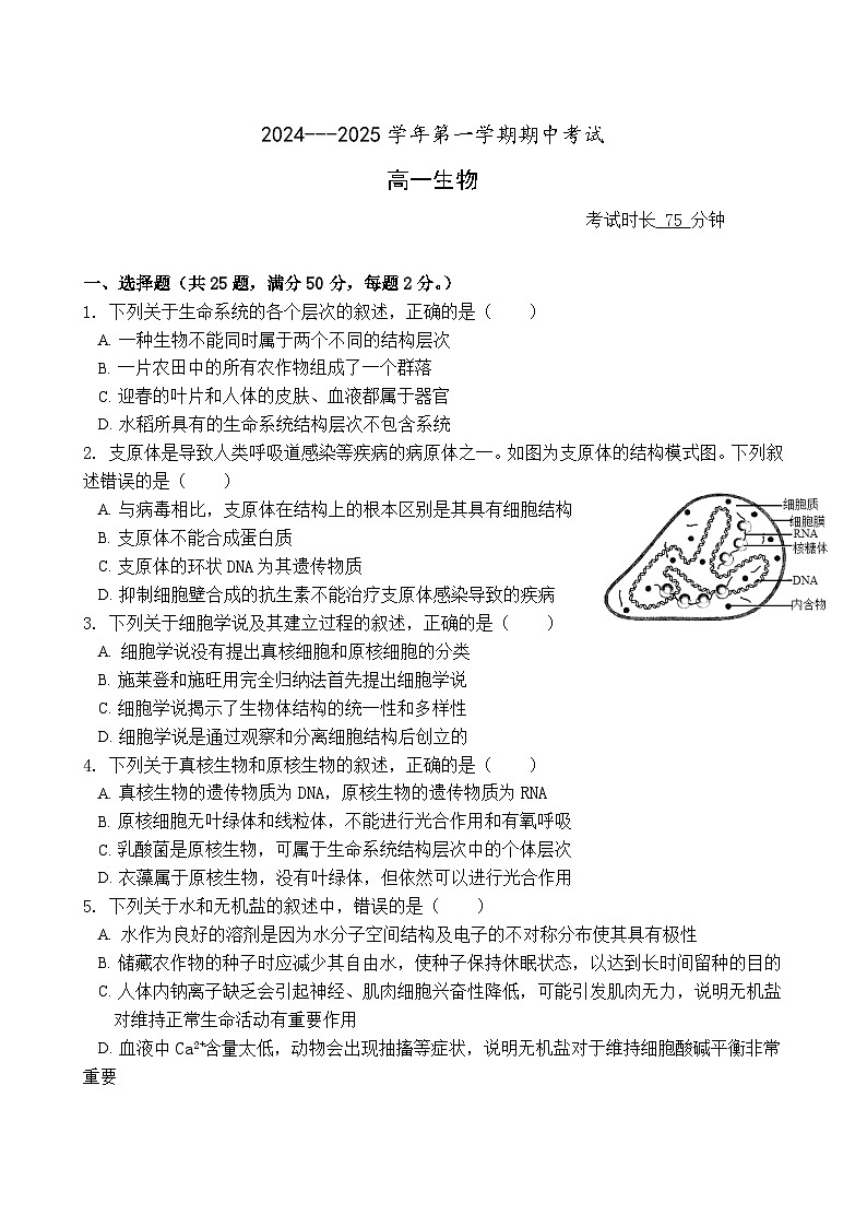 福建省厦门市湖滨中学2024-2025学年高一上学期期中考试生物试题01