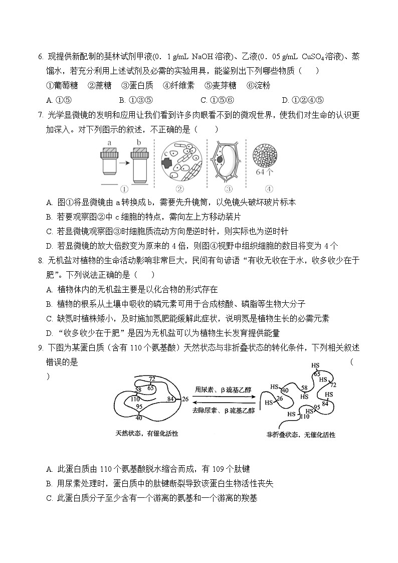 福建省厦门市湖滨中学2024-2025学年高一上学期期中考试生物试题02