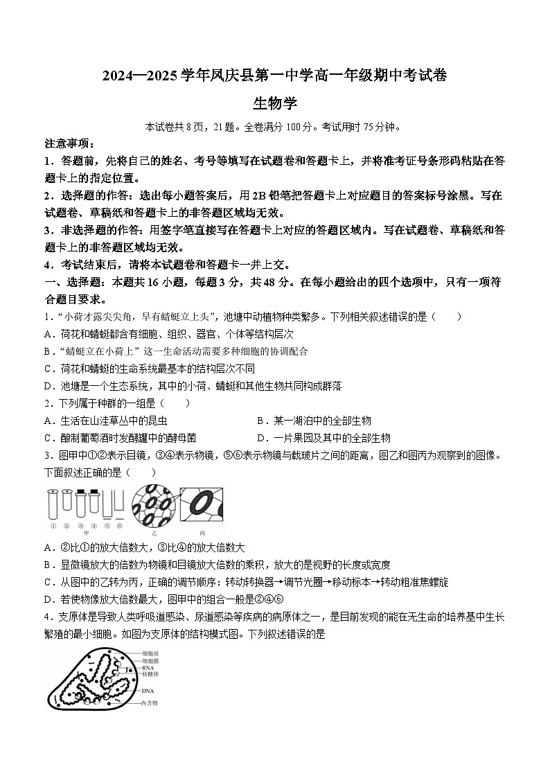 云南省凤庆一中2024-2025学年高一上学期期中检测生物试题第1页