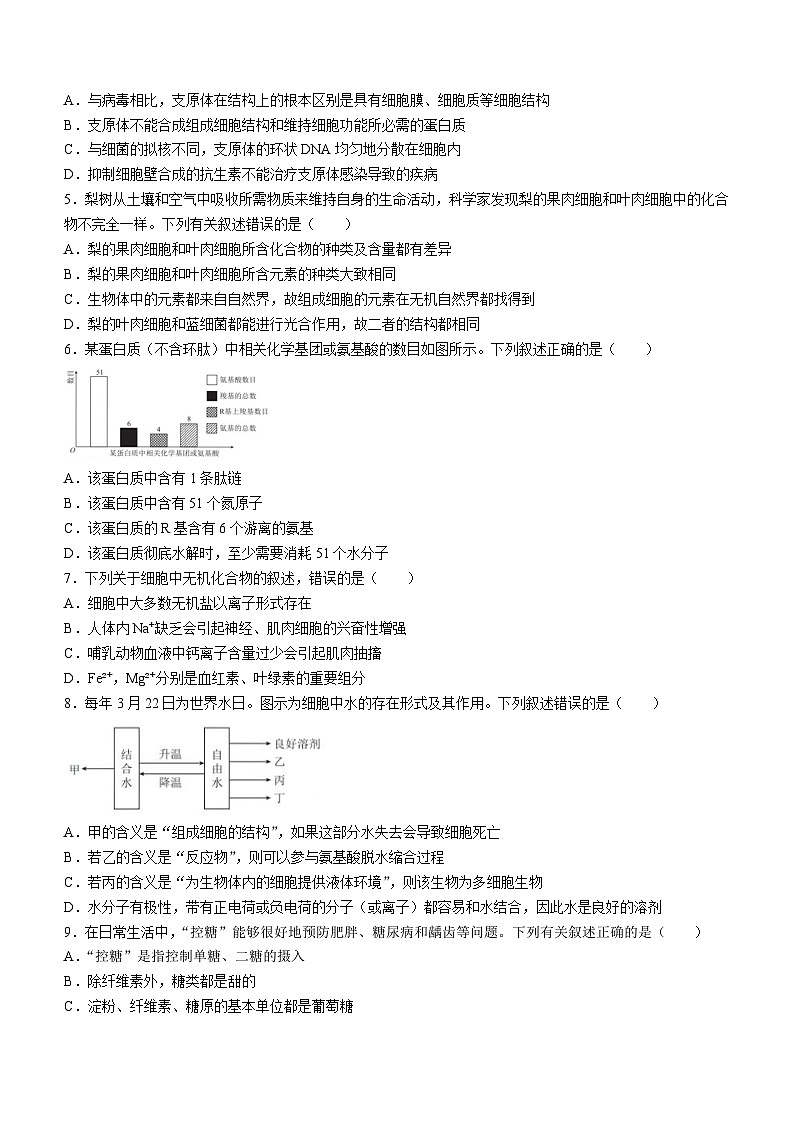 云南省凤庆一中2024-2025学年高一上学期期中检测生物试题第2页