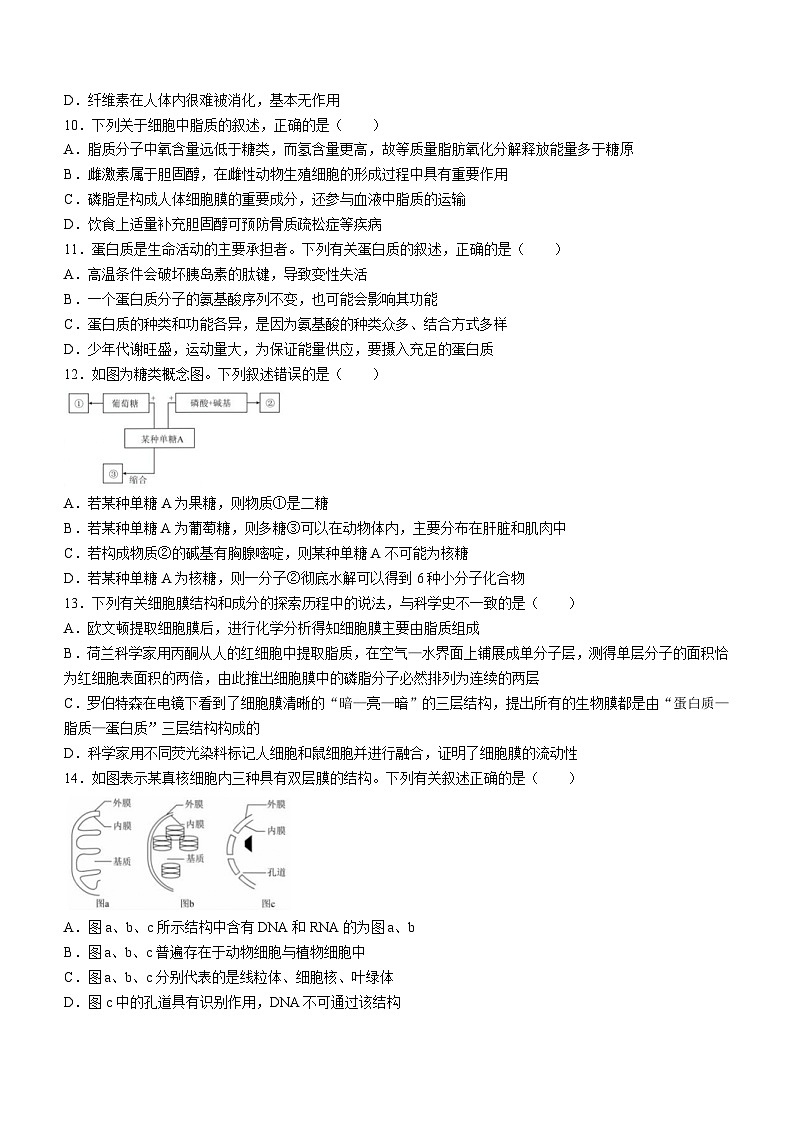 云南省凤庆一中2024-2025学年高一上学期期中检测生物试题第3页