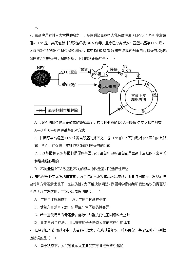 江西省上饶市弋阳县第二中学2024-2025学年高三上学期11月生物学检测试题第3页