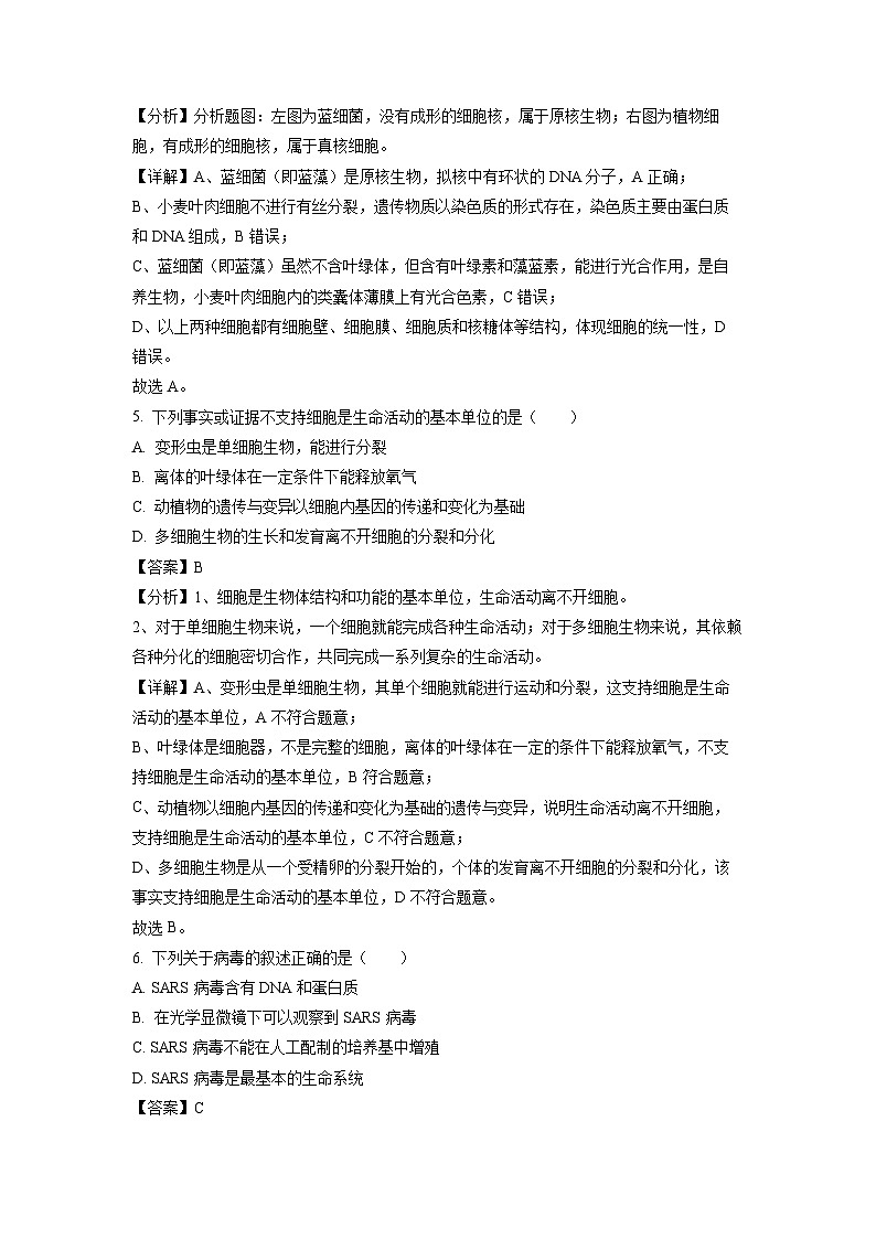 2023-2024学年山东省济南市等2地高一(上)11月期中生物试卷(解析版)第3页