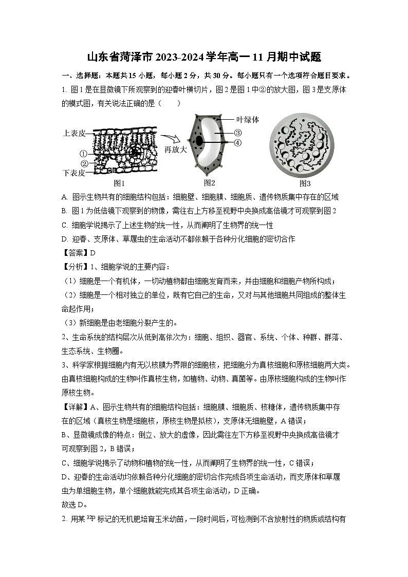 2023-2024学年山东省菏泽市高一(上)11月期中生物试卷(解析版)01