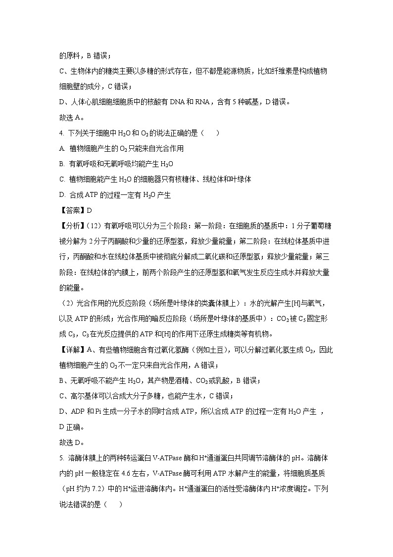 2023-2024学年山东省烟台市高一(上)期末生物试卷(解析版)第3页