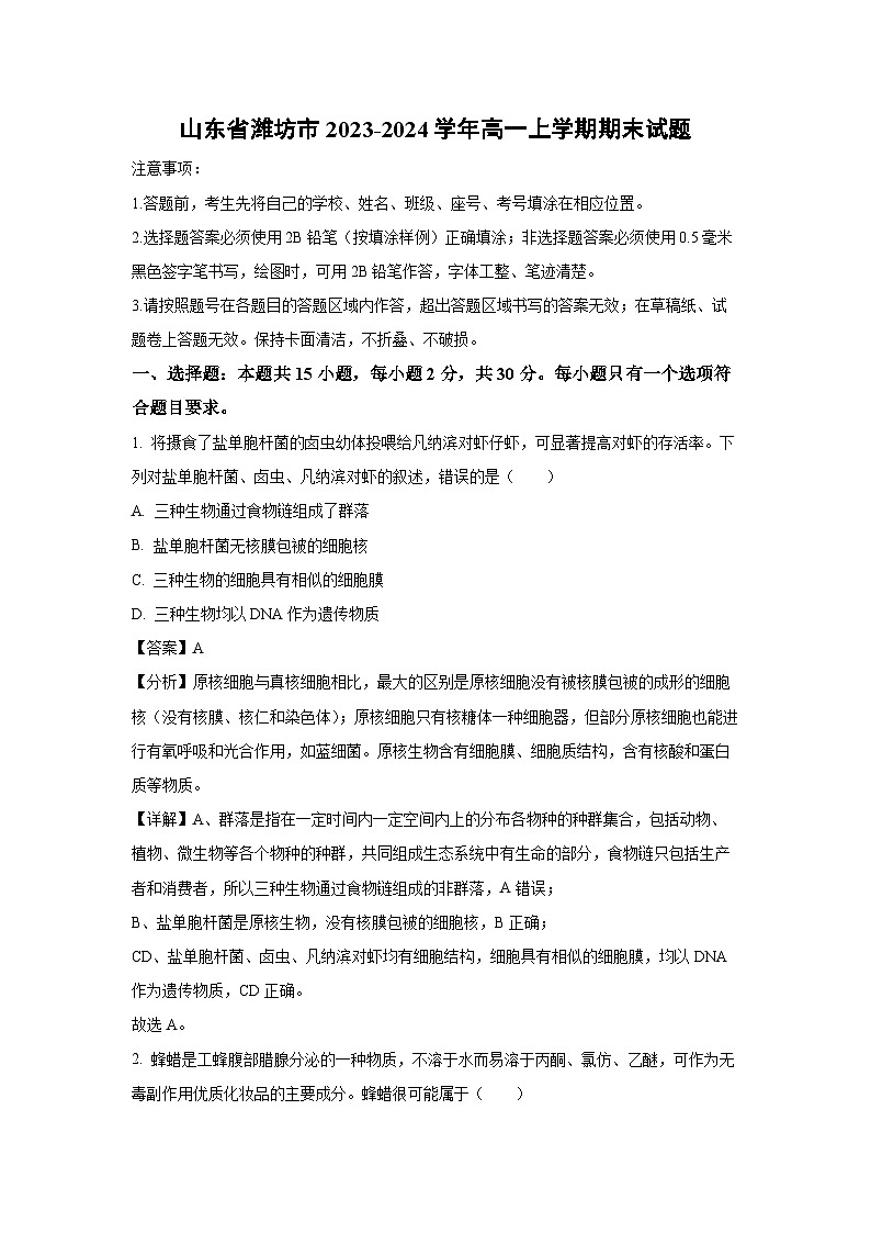 2023-2024学年山东省潍坊市高一(上)期末生物试卷(解析版)01
