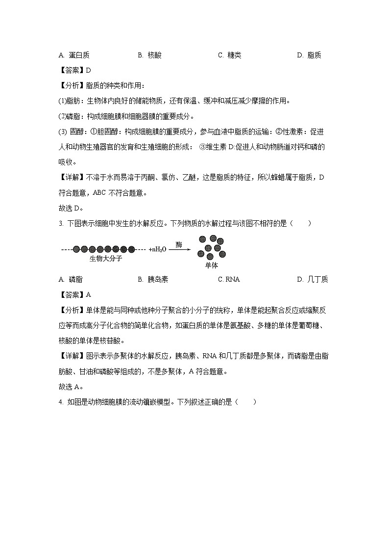 2023-2024学年山东省潍坊市高一(上)期末生物试卷(解析版)02
