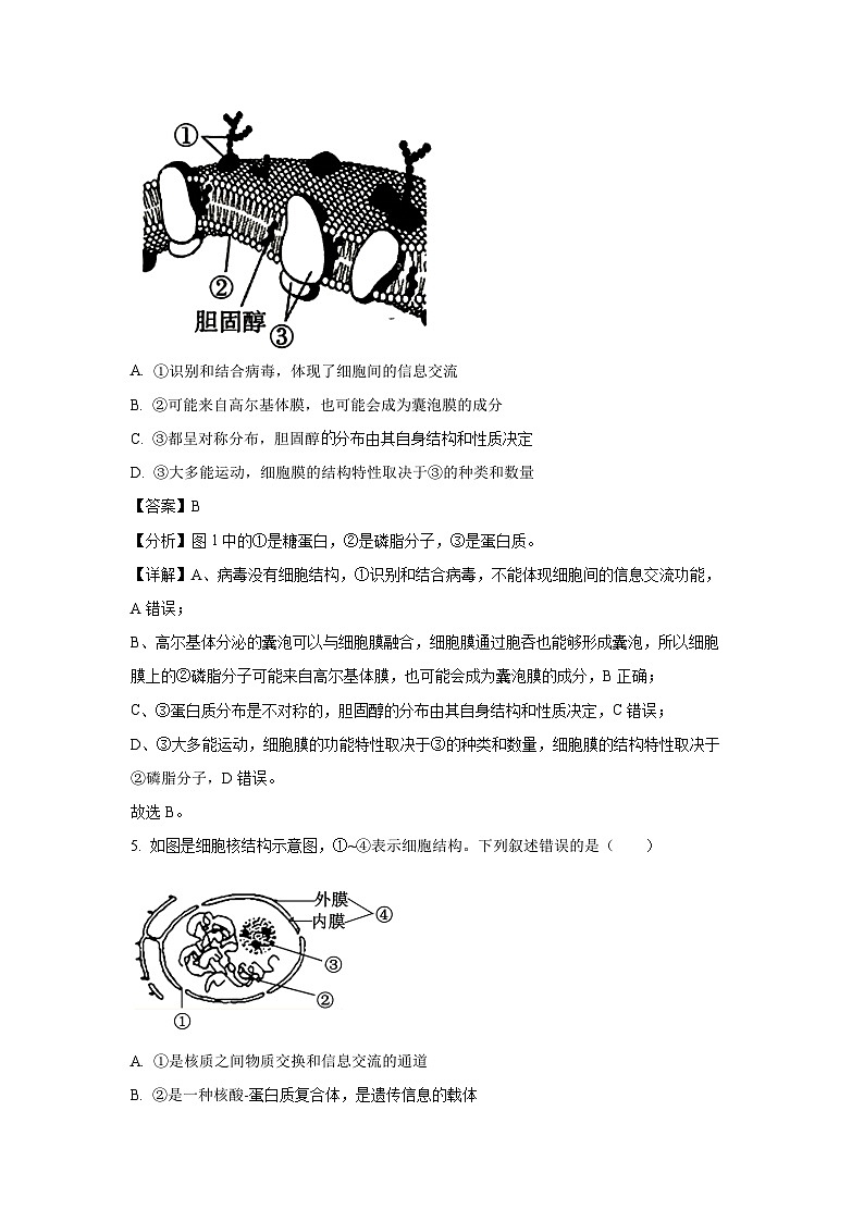 2023-2024学年山东省潍坊市高一(上)期末生物试卷(解析版)03