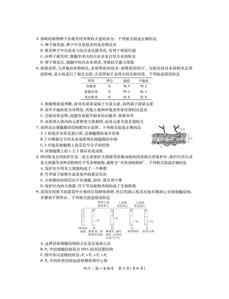 四川省部分学校2024-2025学年高一上期11月期中调研测试生物试卷第2页