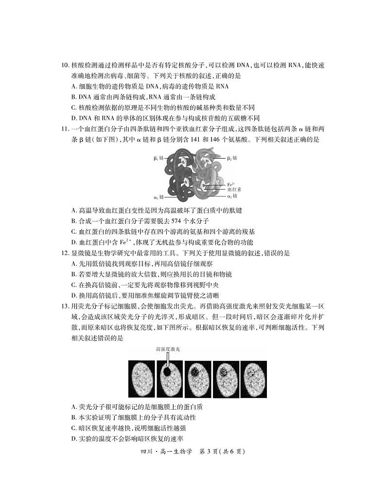 四川省部分学校2024-2025学年高一上期11月期中调研测试生物试卷第3页