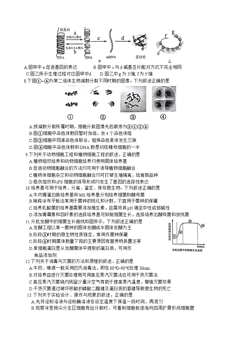 2025徐州高三上学期11月期中考试生物含答案02