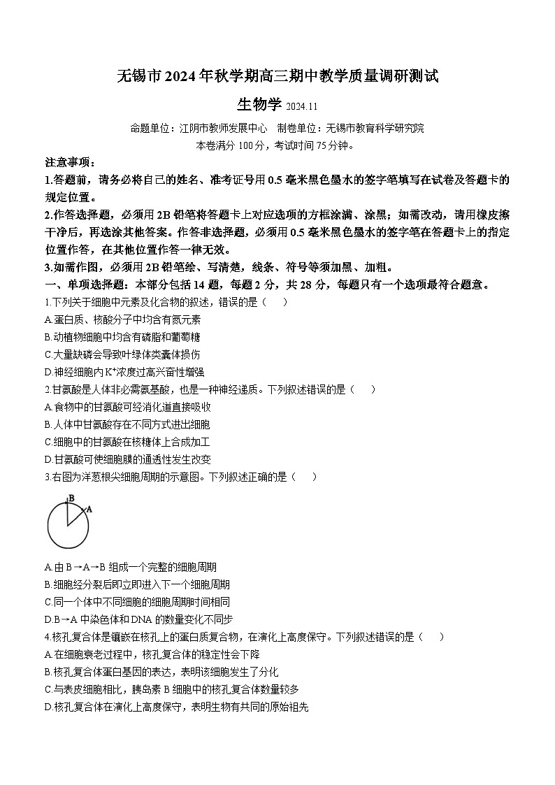 2025无锡高三上学期期中考试生物含答案01