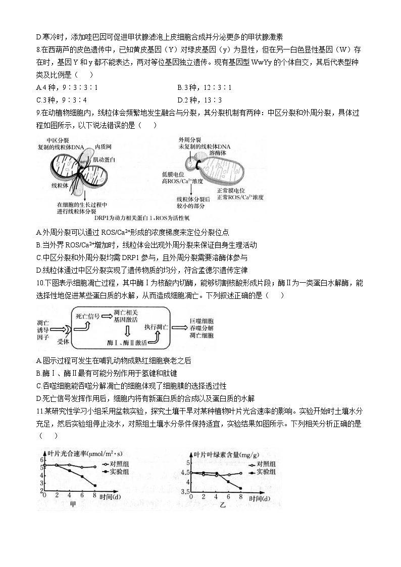 2025龙岩一级校联盟高三上学期11月期中联考试题生物含答案第3页